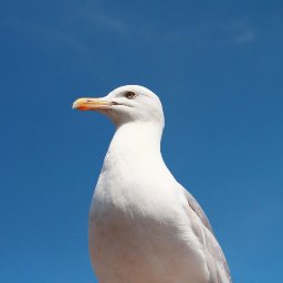 starpott1's profile picture. In a left brained world we welcome right brained people. https://t.co/XV8EjuwBwB