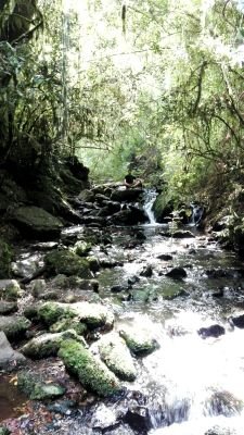 eduardobastias6's profile picture. 