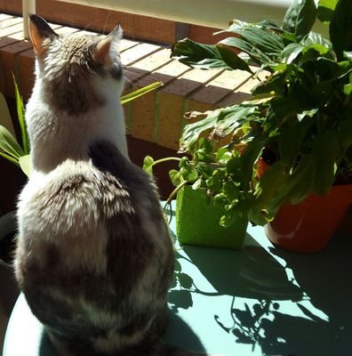 Mar__lope's profile picture. 