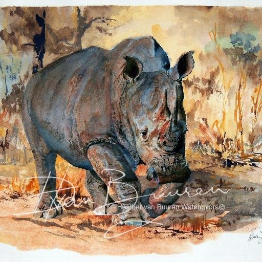 CoxDarren91's profile picture. Love knows no season, It haunts the soul eternally