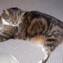 Sally Jack - @crewripestudent - Twitter