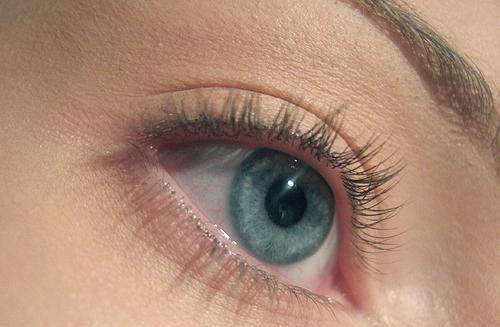 lyzamo's profile picture. 