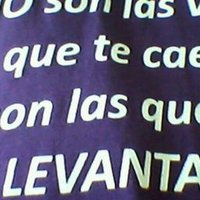 Manuel Soler (@manolociamaria) 's Twitter Profile