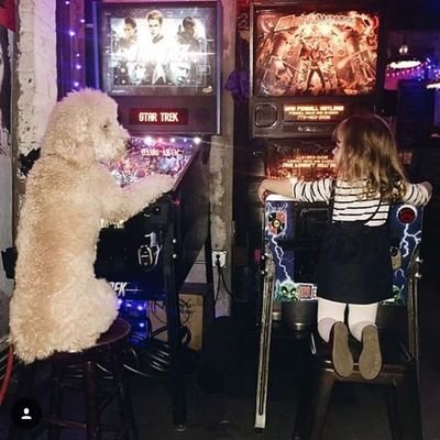 opmpersienner's profile picture. 