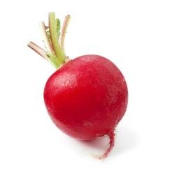 beetredblog's profile picture. 