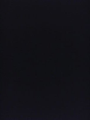 AnthonyThaDon's profile picture. Fux wit me