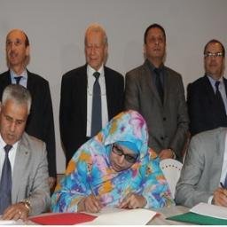 AREFfesmeknes's profile picture. 