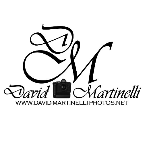 David Martinelli