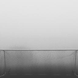 ramirolopez3691's profile picture. 