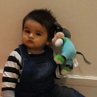 Sedat Ülgül (@horozapolis) Twitter profile photo
