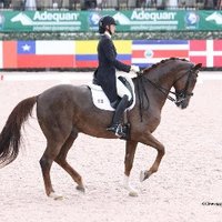 Yvonne Losos deMuniz (@yvonnedressage) 's Twitter Profile