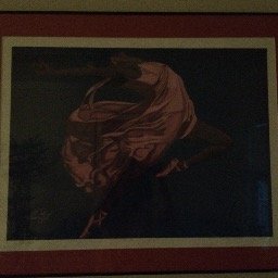 maideninflight's profile picture. 