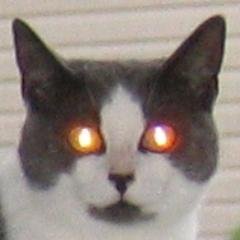 trevordennis's profile picture. Just trying to keep up in the digital age!