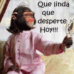 omar_lombana's profile picture. 