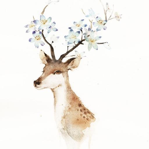 BVEnZK1354Q3yDM's profile picture. 