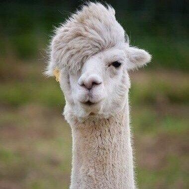 ma9ma9ma9ma91's profile picture. 爆笑動画を拡散していきます！みなさんリツイートしちゃっていっぱい拡散しましょうー⚡️