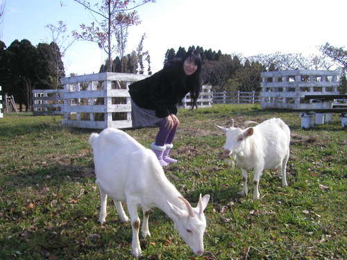 e2k_jp's profile picture. ★本職cobolプログラマー、Web系は独学してます★現在はまっているのは「潜在意識」★健康ネタ・投資・海外ドラマ・セミナー★メンターは勝間和代さん