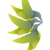 Forrest Foundation (@forrestresearch) Twitter profile photo Forrest Foundation (@forrestresearch) Twitter profile photo