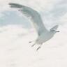 kappe1982's profile picture. 札幌でエンジニアやってます。AWSとかJavaとか。