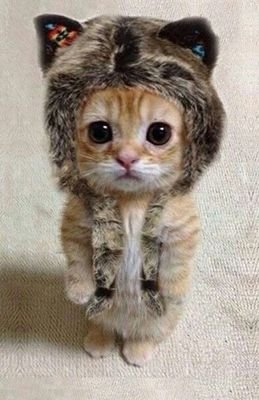 LanierLaine's profile picture. 