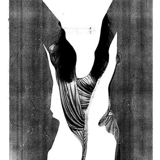 _mariyoshida_'s profile picture. ポップコーンが好き。