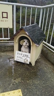 fujiken1915's profile picture. 🚃鉄道、🚌バス、🐱猫が好き…飼ってませんが。⛩御朱印、🏣旅行貯金と風景印、⭕ご当地マンホール巡り、🍛ダムカレー、🏃とびだしとび太に夢中な５０歳のオジサンですが、うふふ☺ ｲﾝｽﾀｸﾞﾗﾑもやってます、Xと同じ内容ですが😁