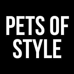 Curating the most stylish and luxurious pet products on the internet