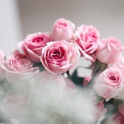 EchAlmulla_'s profile picture. اللهم اكفني شر خلقك.