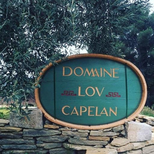 DomLouCapelan's profile picture. #Vins de #Bandol #Rosé #Rouge #Blanc #Wine #Vin #Provence