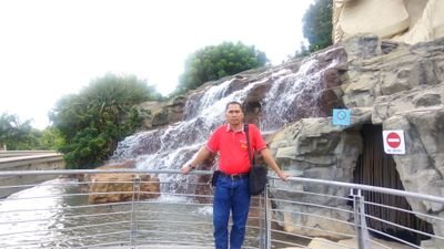 CiptaUsman's profile picture. 