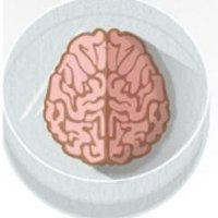 NeuroStemCells (@neurostemcell) 's Twitter Profile Photo NeuroStemCells (@neurostemcell) 's Twitter Profile Photo
