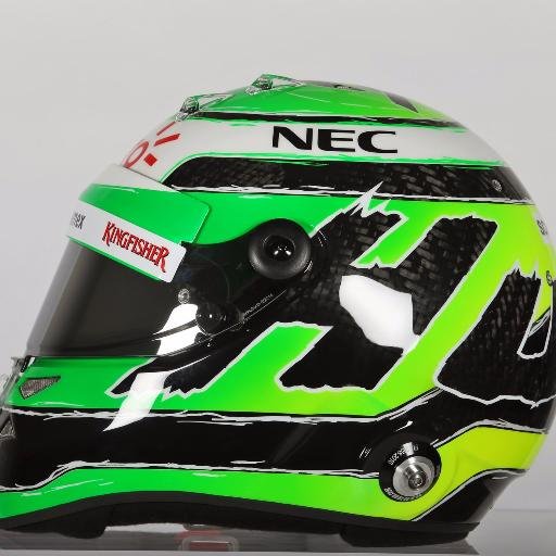 A Formula 1 fan who enjoys watching it and following all the stories that occur during the year