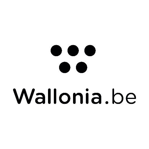 Economic & Cultural representation of @Wallonia_BE (@AWEX_Belgium - @WBI_Tweet) #fdi #export #art #culture