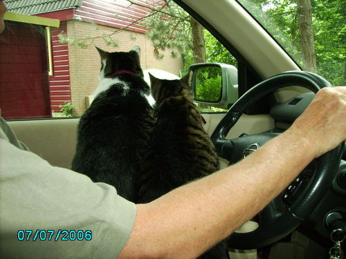 Waterdraad's profile picture. Ex QA mngr,Opa v💃 A, N, N, L, L en 🤸 S! Tennis|bridge|skiën|zeilen|vrijwilligerswerk🌛