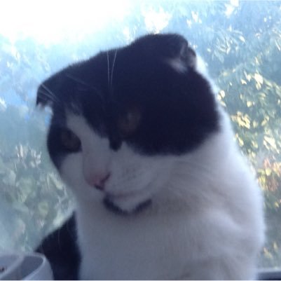 a_cygo's profile picture. 