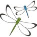 Emerging Leaders for Biodiversity (@el4biodiversity) Twitter profile photo Emerging Leaders for Biodiversity (@el4biodiversity) Twitter profile photo