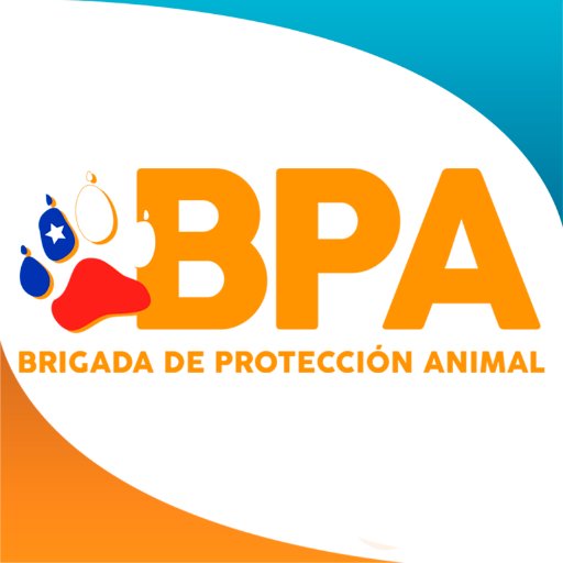 BPA_Chile Profile Picture