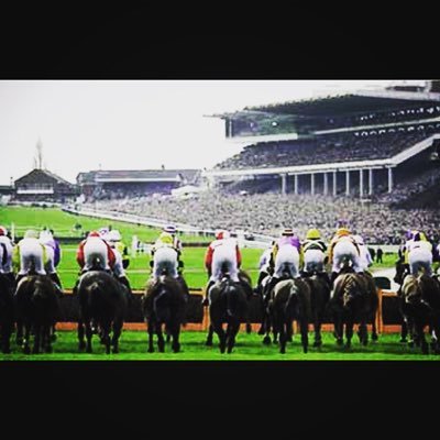 Horse site of @sportbetshero! Here to provide free tips to make you lots of money! Daily NAPs and other bets! tips here will always be free!