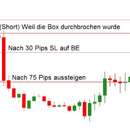 Auf der Seite devisenhandel-profi.de haben wir in unserem kostenlosen E-Book eine sehr profitable Strategie vorgestellt, mit der massive Gewinne möglich sind