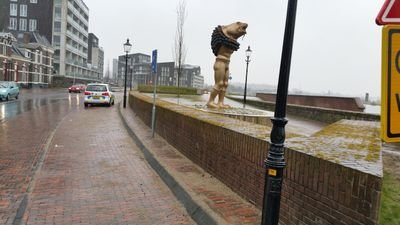 Sitki0101's profile picture. 