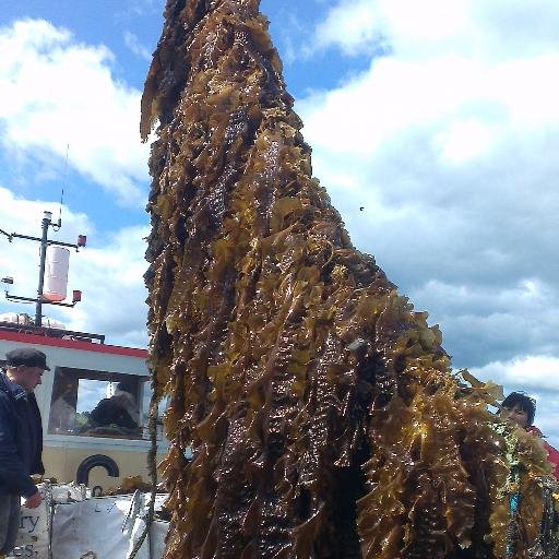 The SeaGas project will develop a process which uses seaweed for the generation of sustainable energy by anaerobic digestion