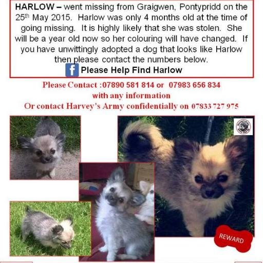 GetHarlowHome's profile picture. 