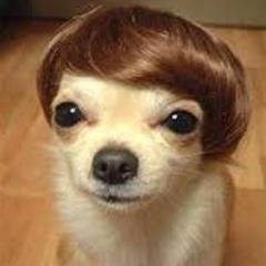 mdoc20144319's profile picture. 