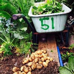 Gardening life. Tips, ideas, info and whatever else we think is worth sharing. All you need to get cracking in to gardening. Instagram: Allotment51