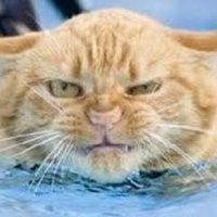 Igrekson (@igor_scutelnic) 's Twitter Profile Photo