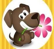 shyrley_molina's profile picture. 