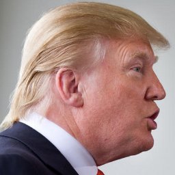Donald Trump Supporter