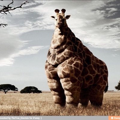 The best tweets, funny pics and videos and more! Submit your own in the DMs