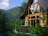 americanmtnrent's profile picture. Right in the heart of the Great Smoky Mountains with more than 160 cabins and chalets for rent discounted with 1 – 9 bedroom - we have something for everyone!
