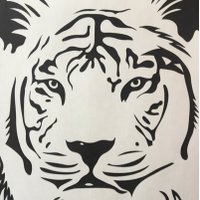 JCHS Tiger Tales (@jchstigers) 's Twitter Profile